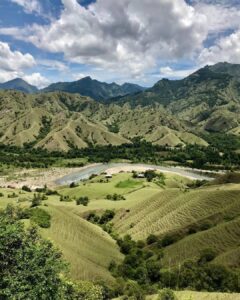 snapsave app 3641722813545312760