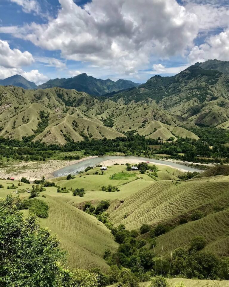 snapsave app 3641722813545312760