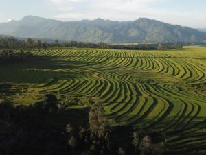 sulsel.jadesta.com 5