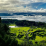@alantonapa mentirotiku
