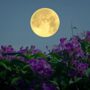 athapet piruksa via shutterstock