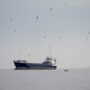 kapal tanker ani
