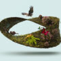 loop nature concept collage