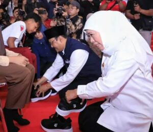 sepatu stradenine