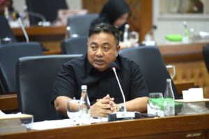 i nyoman parta pdip dpr