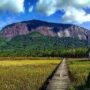 indonesia tourism.com