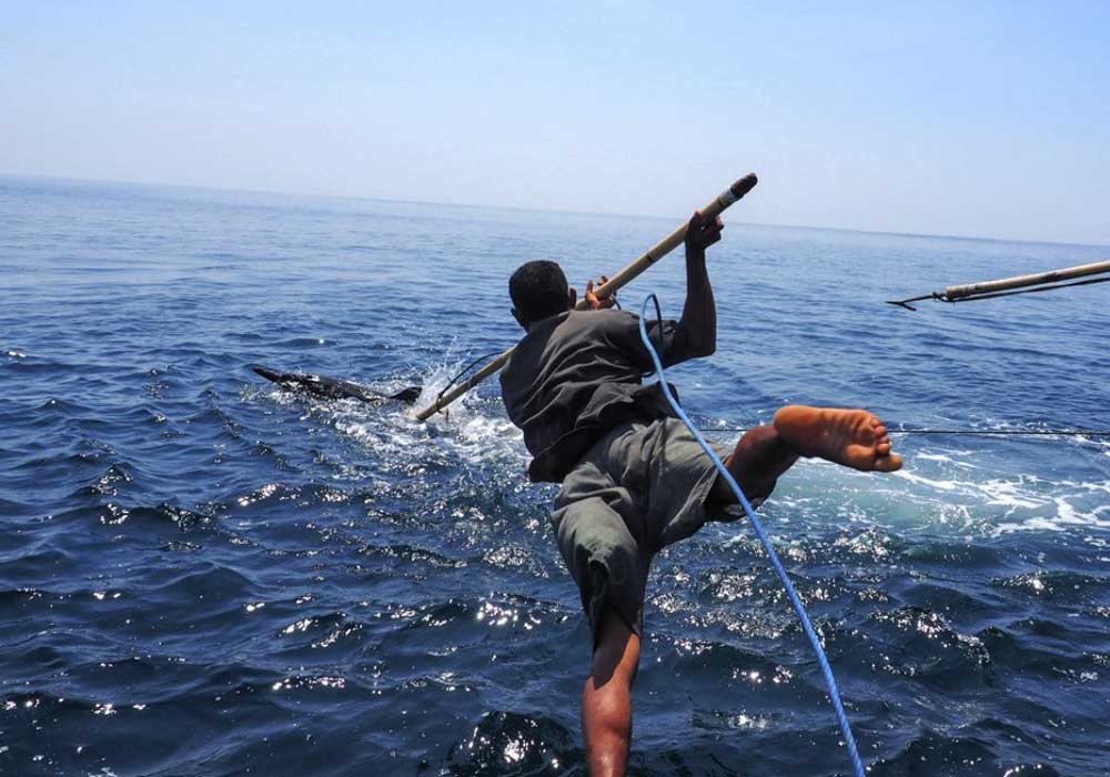 pariwisataindonesia.id32