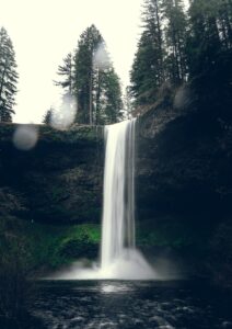 pexels benjaminfarren 11767314 (1)