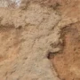 dinosaurus zimbabwe