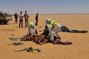 korban gurun sahara anadolu