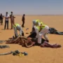 korban gurun sahara anadolu