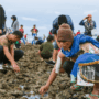 lomboksumbawatourism.ntbprov.go.id