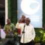 pigai menteri ham