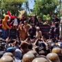 demo gowa