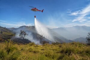 heli bromo
