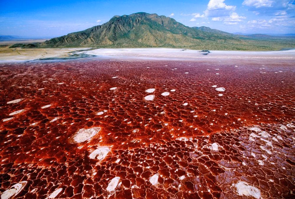 lake natron1 751346ba6888768ee9c855b0e517bd4e b38e5d73c4c26adf30365a1fe4990b46