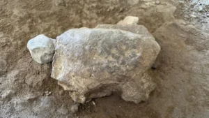 patung kura kura anadolu