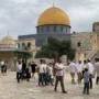 pemukim israel al aqsa anadolu