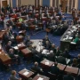 senat as voe
