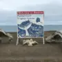 tripadvisor.com