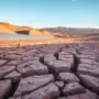38318477695 d50c43aa0b 5k