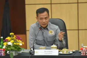 eka widodo dpr