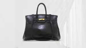 hermes birkin gws
