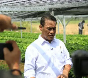 mentan amran kementan