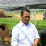 mentan amran kementan