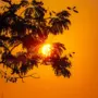 pexels nisanth panicker 1703892518 28399252