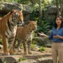 presenter showing tiger and leopard 20260921092325