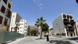 saudi anadolu