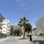 saudi anadolu