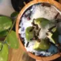 @alkidostore