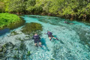 goodlifexplorers.com