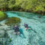 goodlifexplorers.com