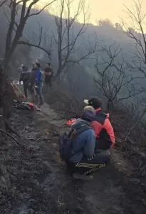 karhutla di bromo 1792056618555
