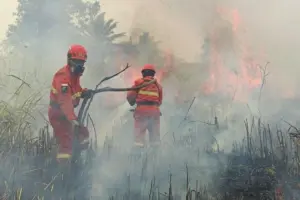 karhutla kemenhut