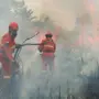 karhutla kemenhut