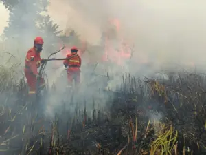 karhutla kemenhut3